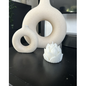 Lotus Lotus